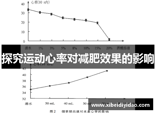 探究运动心率对减肥效果的影响