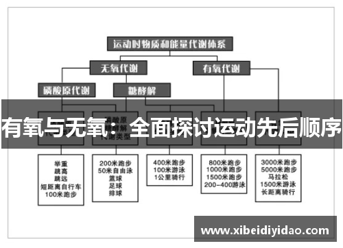 有氧与无氧：全面探讨运动先后顺序